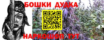 a pvp Пенза