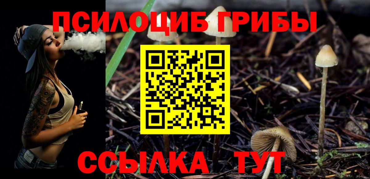 Галлюциногенные грибы Psilocybine cubensis Сатка